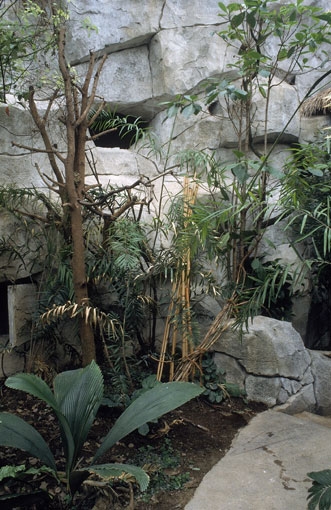 Tropenhaus für ostasiatische Tiere